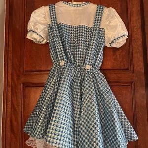 Dorothy costume from the Wizard of Oz movie